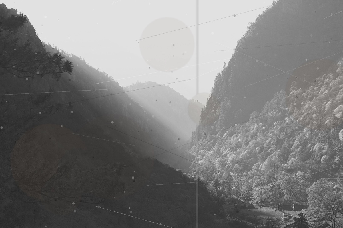 Una fotografía en blanco y negro plegada y con imperfecciones de un valle boscoso de montaña